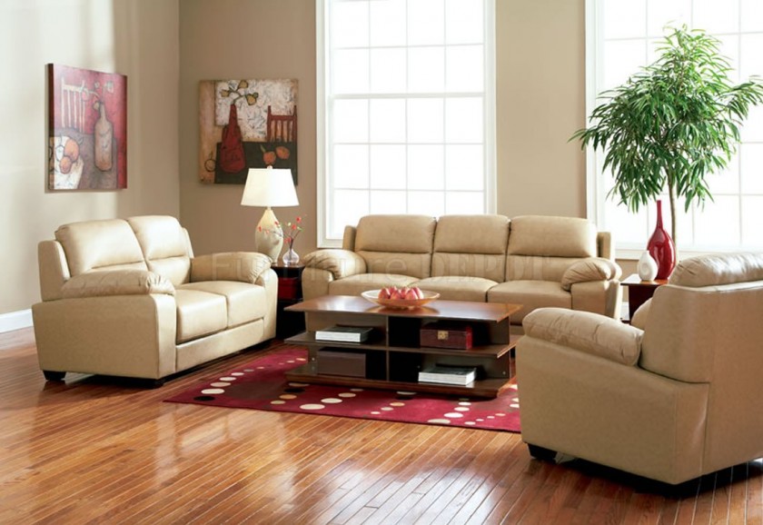 Contemporary Living Room with Modern Rugs Design and Amazing Wooden Floo