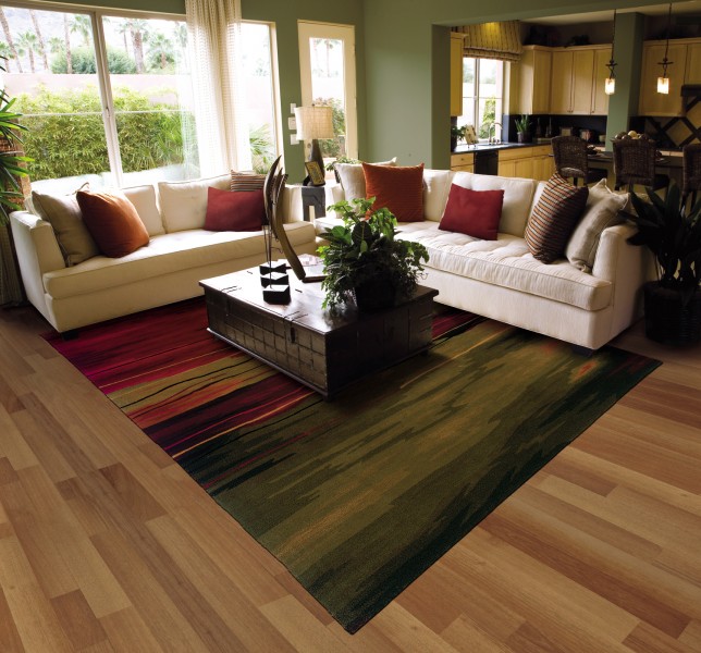 Informal Living Room Rugs Edmonton