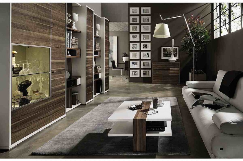 Modern Design Living Room With Black Walls Decoration and Modern Black Fur Rugs