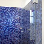 Glass Shower Room Decoration and Minimalist
