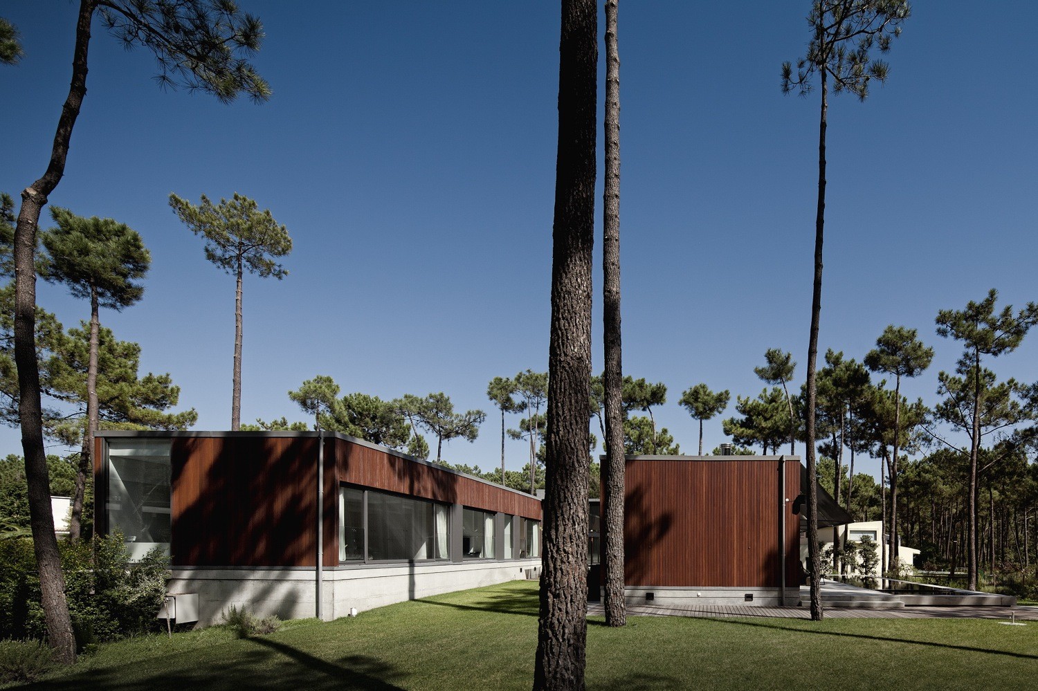 Courtyard View from Aroeira III House Among Green Lawn Also Some Trees Surrounded And Make Fresh Portuguese House Courtyard View from Aroeira III House Among Green Lawn Also Some Trees Surrounded And Make Fresh Portuguese House