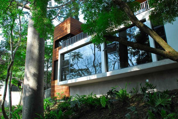 Refreshing Atmosphere Surrounding Casa Cds Residence Near Green Christmast Trees Near It Near Green Hawthorn Beside It