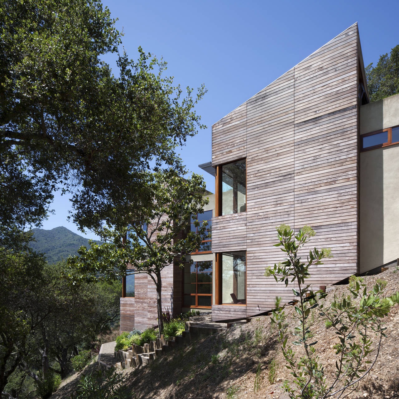 Traditional Exterior Design Near Plank Wall Along With Concrete Surrounded Aside Some Leafy Trees At Kentfield House Stand On Sloping Site Traditional Exterior Design Near Plank Wall Along With Concrete Surrounded Aside Some Leafy Trees At Kentfield House Stand On Sloping Site