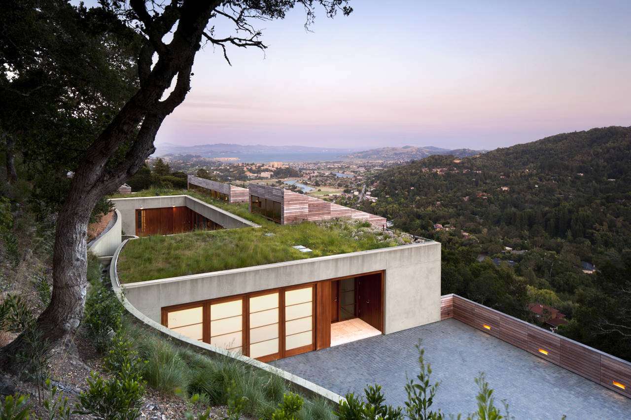 Wonderful View From Over Shown Rooftop Garden Near Woodframe Garage Door Along With Concrete Driveway At Kentfield House Wonderful View From Over Shown Rooftop Garden Near Woodframe Garage Door Along With Concrete Driveway At Kentfield House